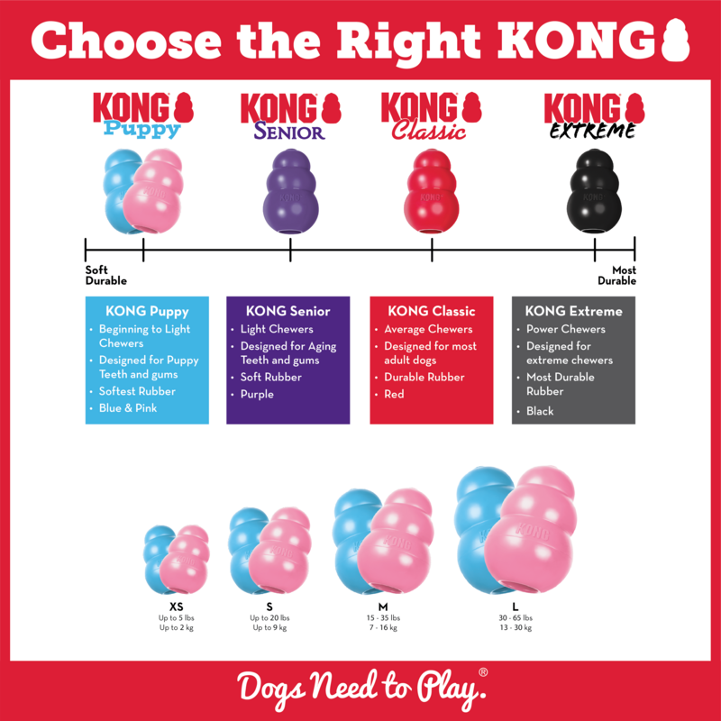 Kong puppy hot sale large size