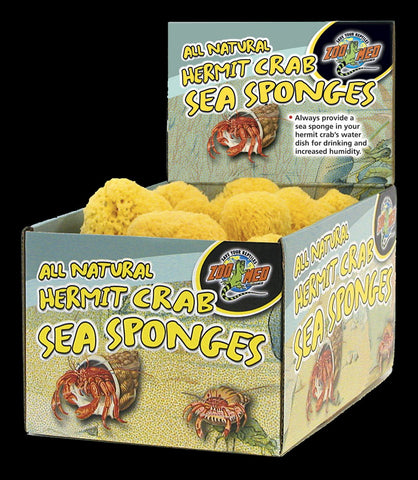 Zoo Med All Natural Hermit Crab Sea Sponge